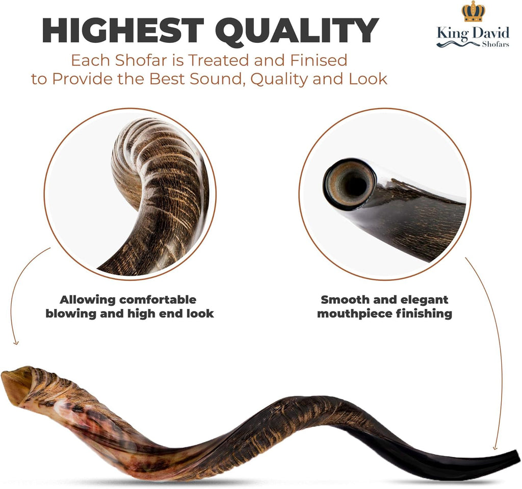 Kosher Jewish Shofar Horn Instrument, Half Polished, 43"-45" Super Jumbo N432