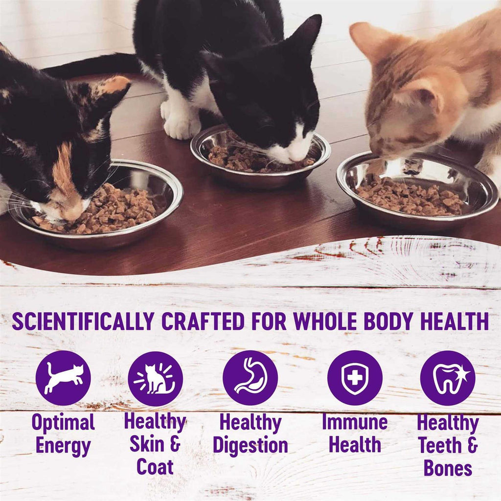 Wet Adult Cat Food Variety Pack Z100