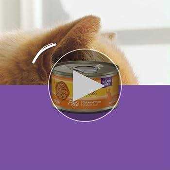 Wet Adult Cat Food Variety Pack Z100