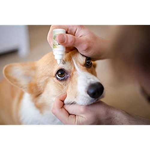 Pet Eye Drops C193010