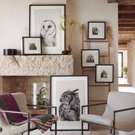 Owl Prints Small O836