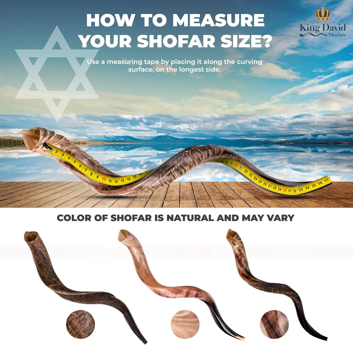Kosher Jewish Shofar Horn Instrument, Half Polished, 43"-45" Super Jumbo N432