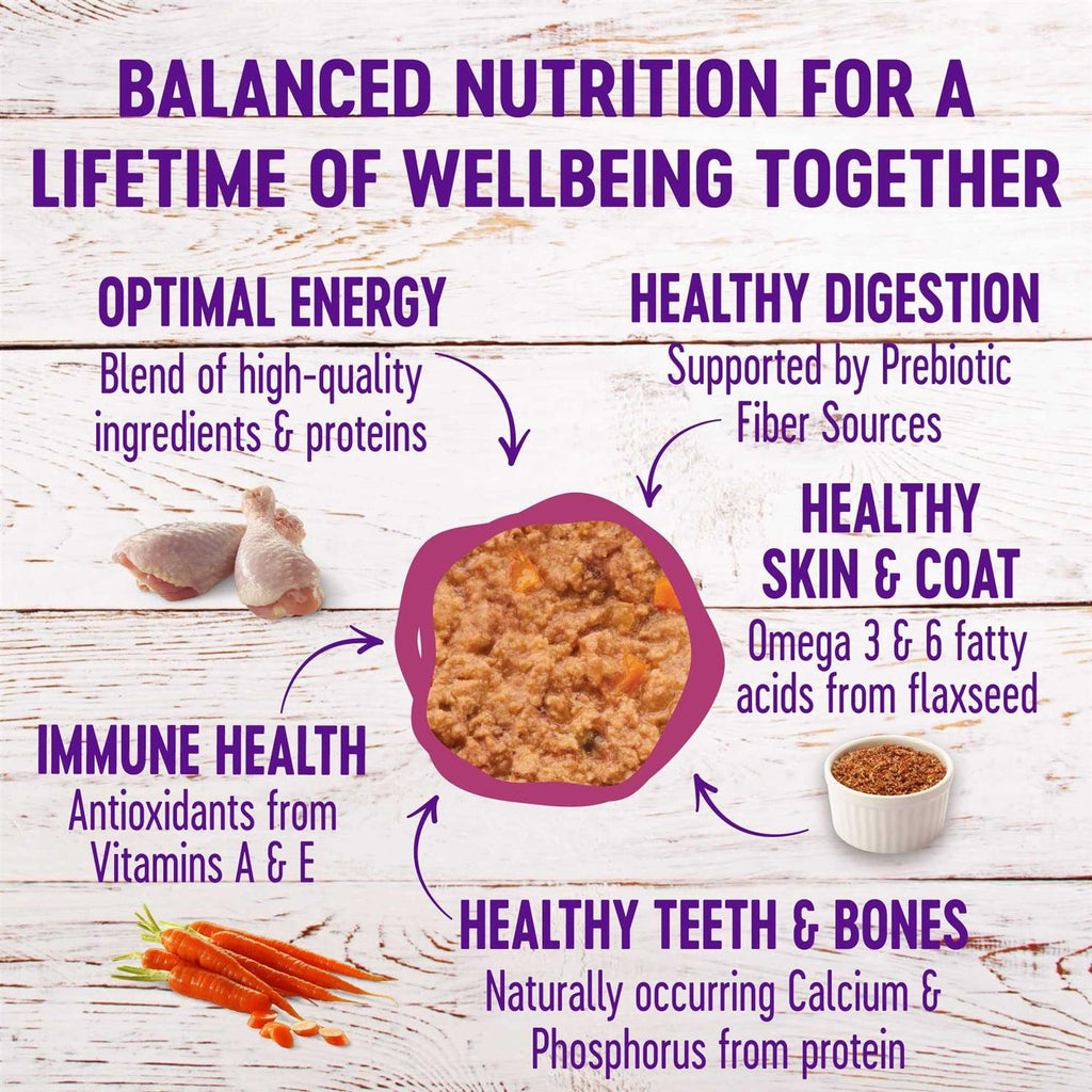 Wet Adult Cat Food Variety Pack Z100
