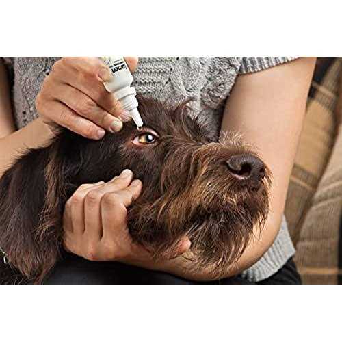 Pet Eye Drops C193010