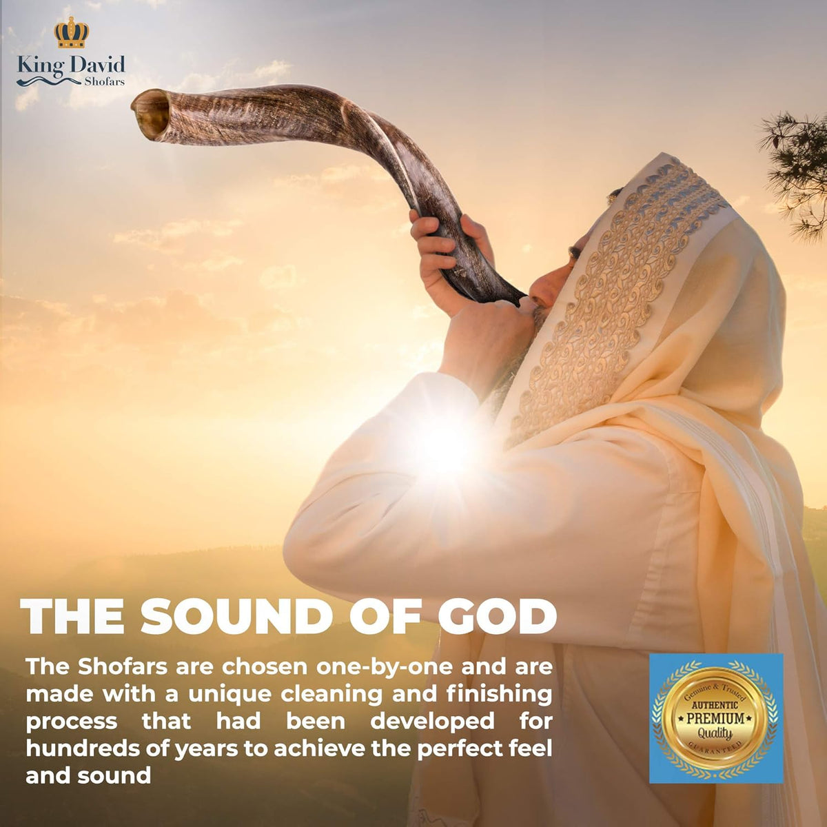 Kosher Jewish Shofar Horn Instrument, Half Polished, 43"-45" Super Jumbo N432